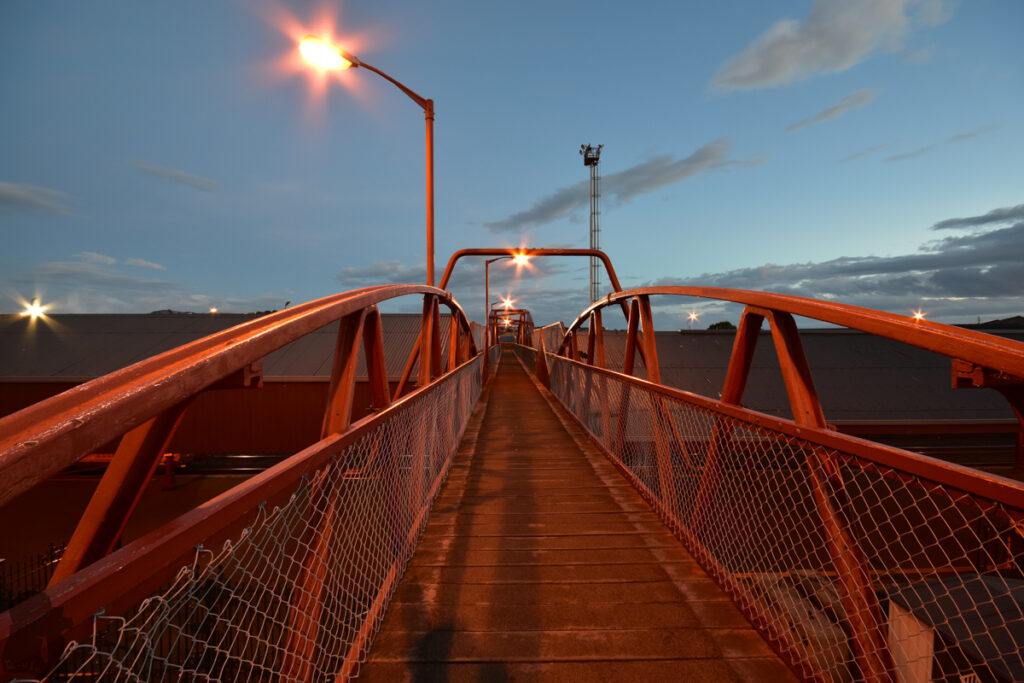 Dunedin; the Vintage and Delicate City in South Island Dunedin