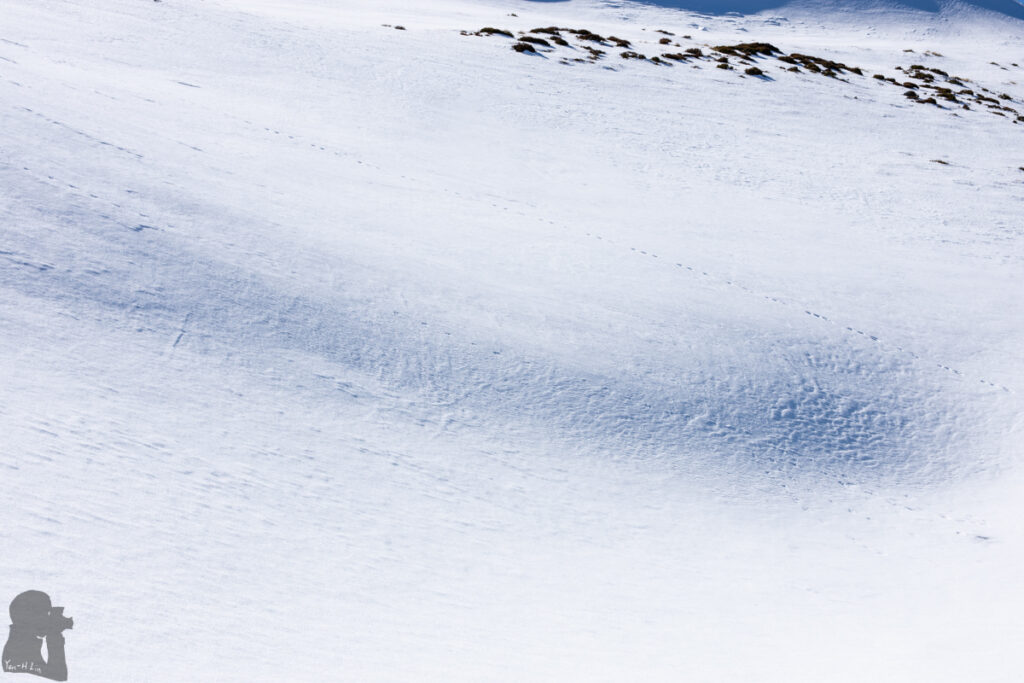 Faust in Snow; Camping on its Snowy Ridge Textured snow field