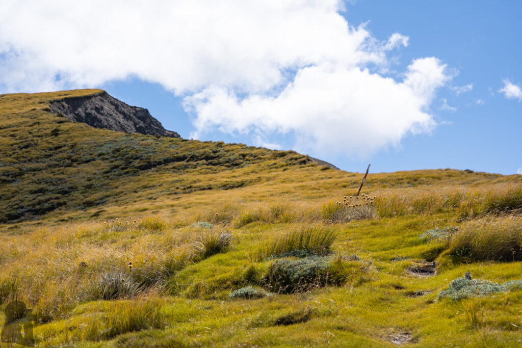 Faust, Libretto Range, Camp by its Colorful Tarns on the Ridge After the bushline the poled route only lasted for a short distance.