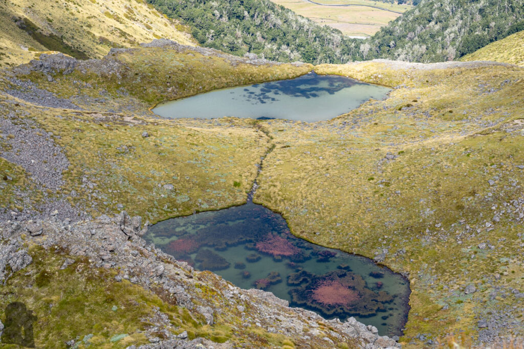 Faust, Libretto Range, Camp by its Colorful Tarns on the Ridge The other two tarns where I camped twice are on the southern side of Faust-Pt 1607 ridge.