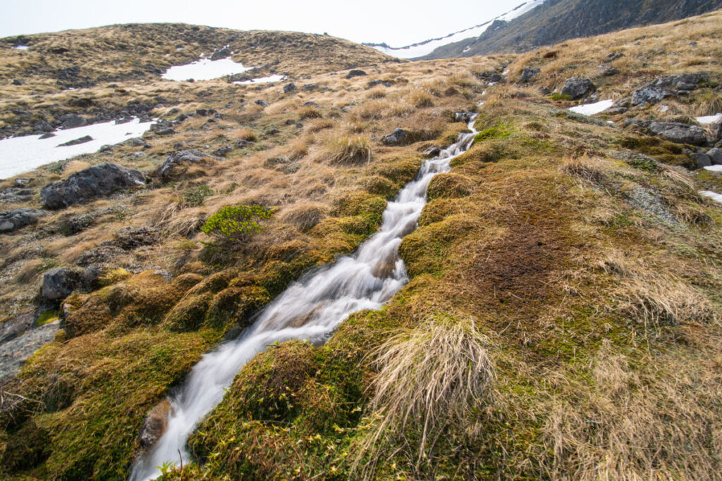 Faust, Libretto Range, Camp by its Colorful Tarns on the Ridge the stream inflow to the lower tarn.
