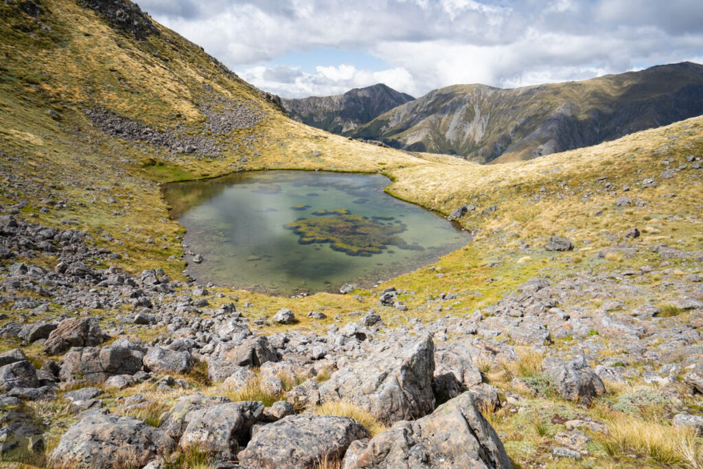Faust, Libretto Range, Camp by its Colorful Tarns on the Ridge The unique color pattern