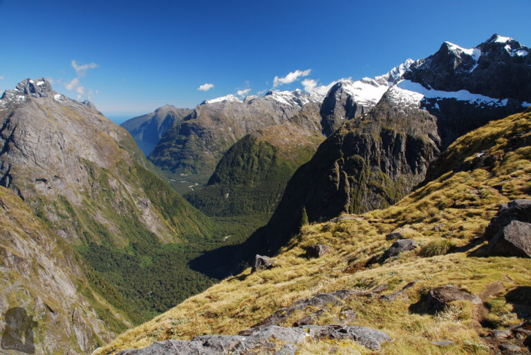 The view toward Milford Sound at Gertrude Saddle.