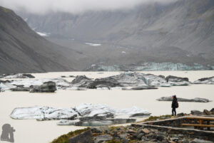 Icebergs in Hooker Lake; they carried a mild tint of mysterious glacier blue.