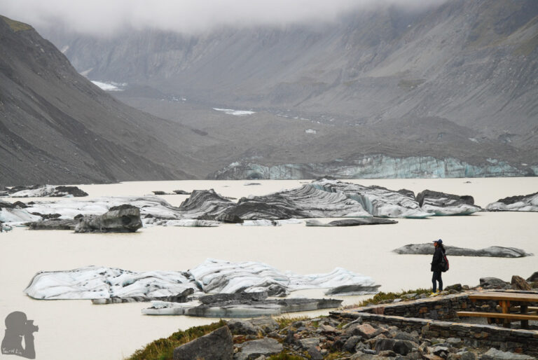 Icebergs in Hooker Lake; they carried a mild tint of mysterious glacier blue.