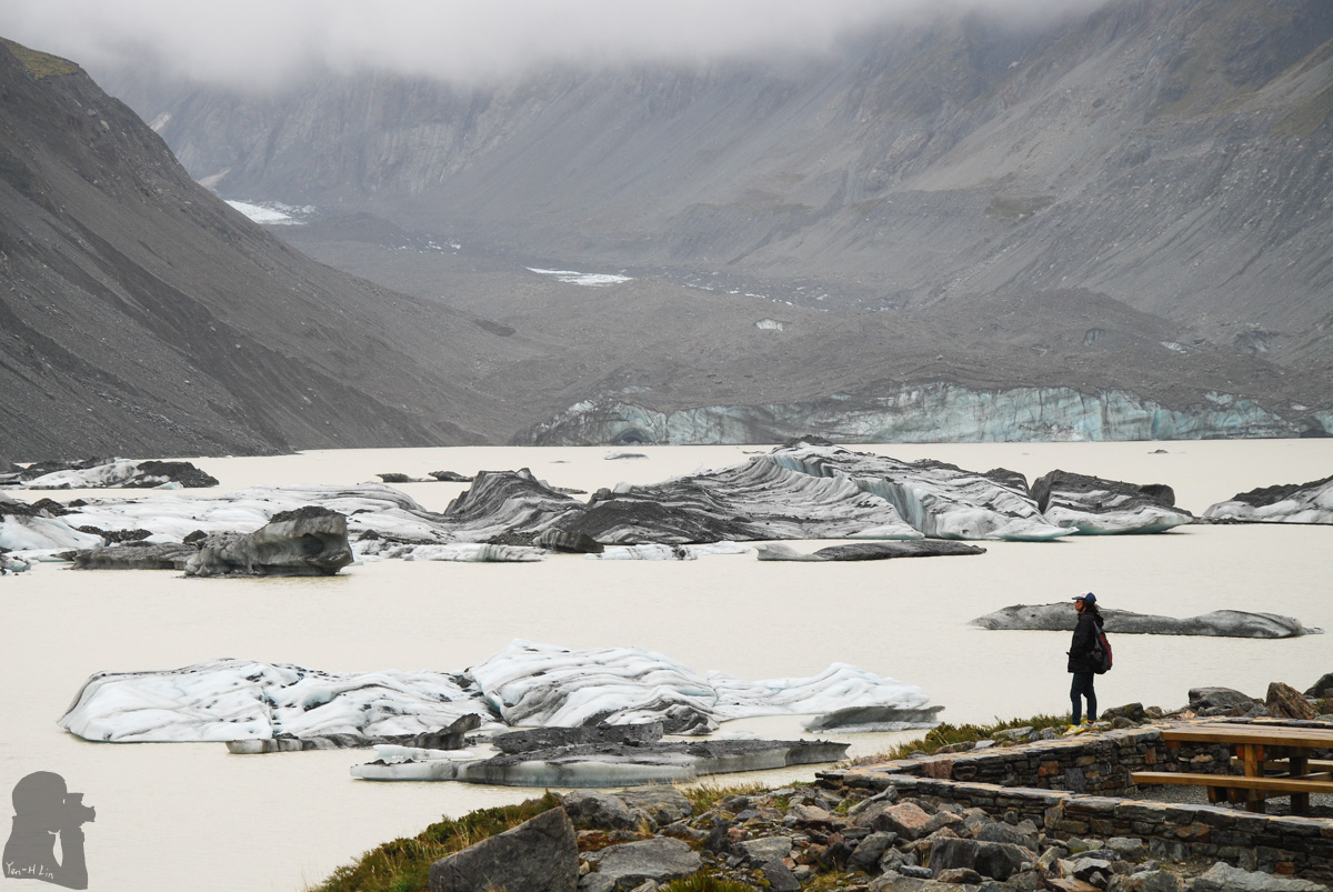 Icebergs in Hooker Lake; they carried a mild tint of mysterious glacier blue.