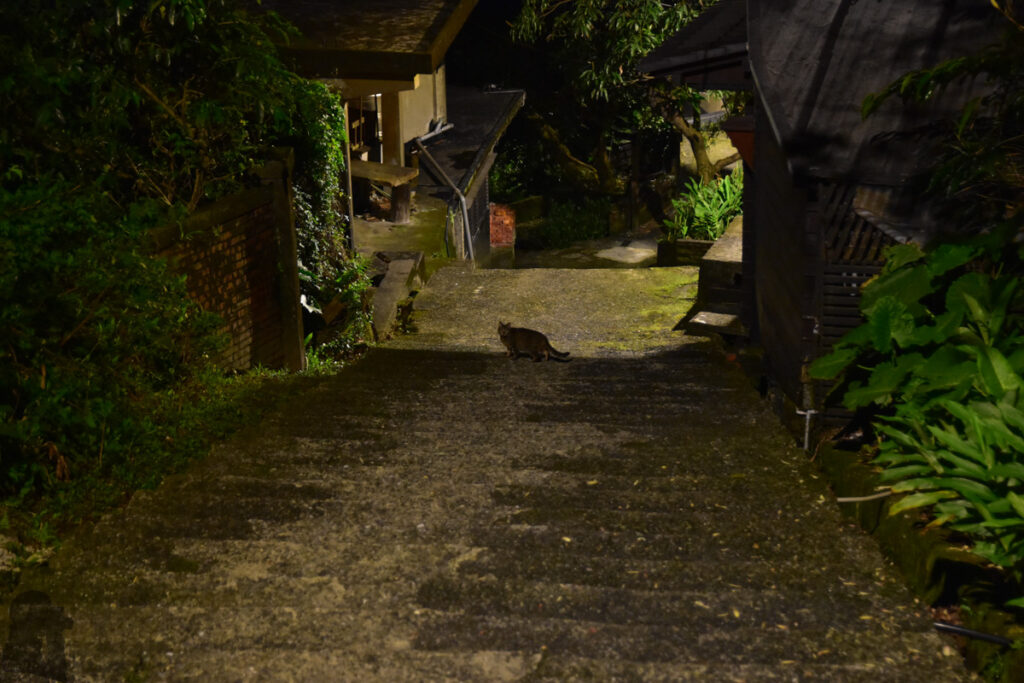 Jiufen (九份) and Jinguashi (金瓜石) the Former Mining Towns of Distinct Vibes. Jinguashi