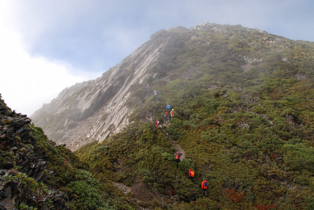 Mabolasih Trail (馬博拉斯橫斷), the Challenging Hike Crossing the Precipitous Central Mountain Range Final ascent to Siouguluanshan