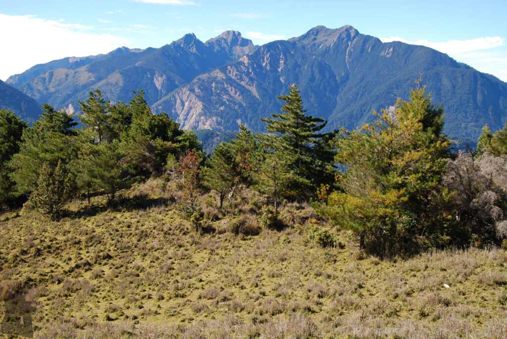 Mabolasih Trail (馬博拉斯橫斷), the Challenging Hike Crossing the Precipitous Central Mountain Range The tall ridge of Yushan was always with us.