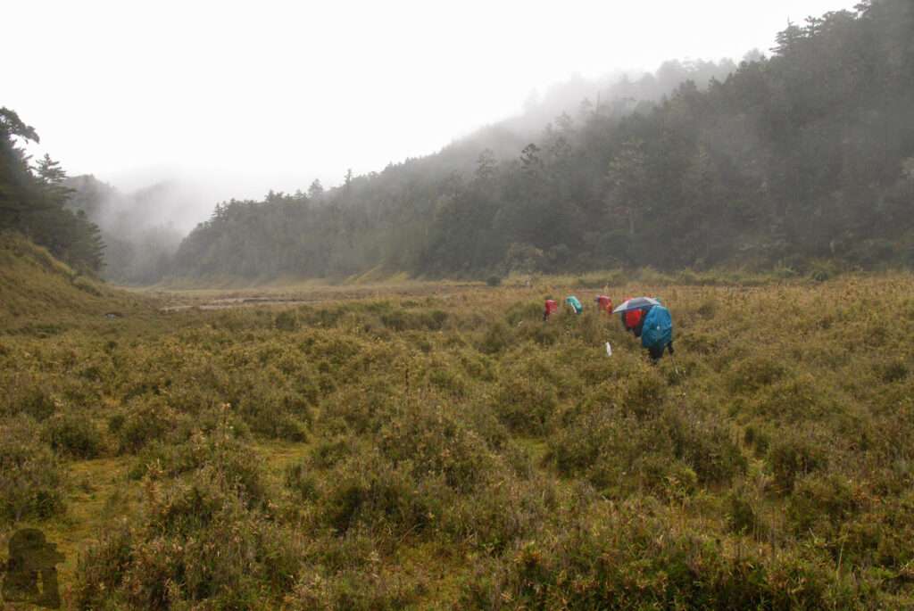Mabolasih Trail (馬博拉斯橫斷), the Challenging Hike Crossing the Precipitous Central Mountain Range Taiping Valley