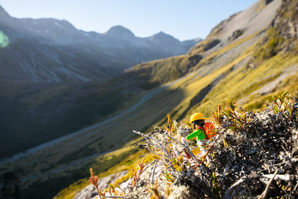 Blue Lake & Sabine Track-Moss Pass-D’Urville Track; Revisit the Clearest Fresh Water in the World on a Lesser-Visited Route Moss Pass Route