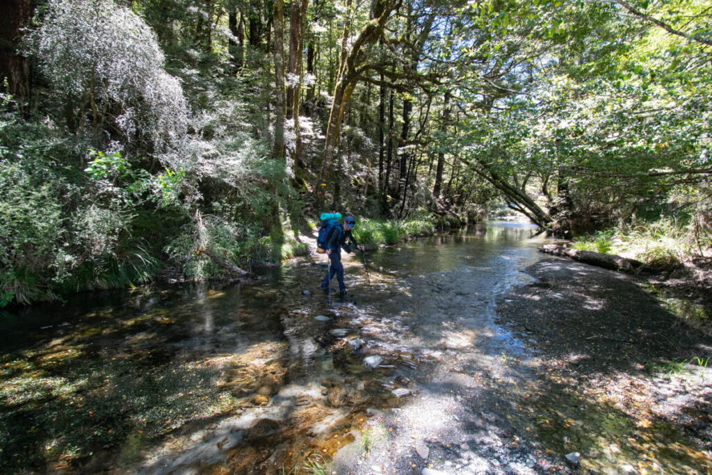Blue Lake & Sabine Track-Moss Pass-D’Urville Track; Revisit the Clearest Fresh Water in the World on a Lesser-Visited Route Sabine Track