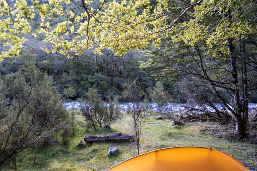 Blue Lake & Sabine Track-Moss Pass-D’Urville Track; Revisit the Clearest Fresh Water in the World on a Lesser-Visited Route Camping in the wood in the evening