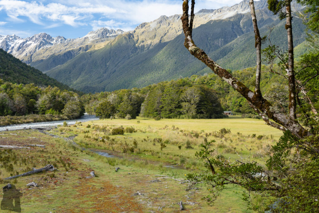 Blue Lake & Sabine Track-Moss Pass-D’Urville Track; Revisit the Clearest Fresh Water in the World on a Lesser-Visited Route The meadow in front of Morgan Hut