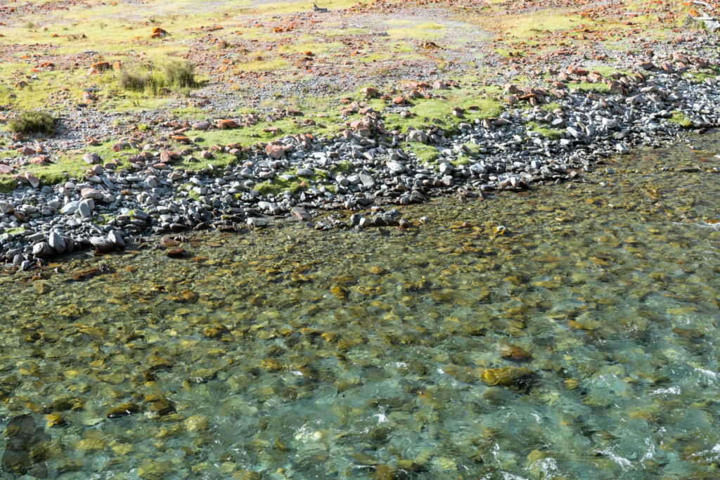 Blue Lake & Sabine Track-Moss Pass-D’Urville Track; Revisit the Clearest Fresh Water in the World on a Lesser-Visited Route D’Urville River