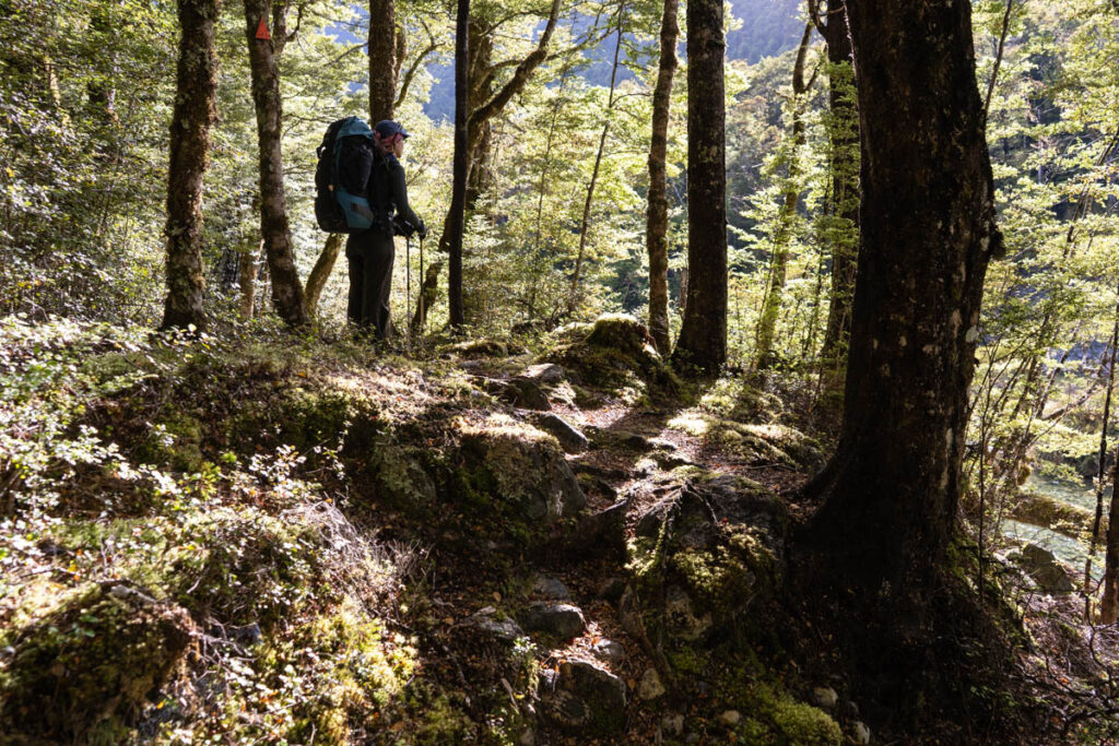 Blue Lake & Sabine Track-Moss Pass-D’Urville Track; Revisit the Clearest Fresh Water in the World on a Lesser-Visited Route D’Urville Track