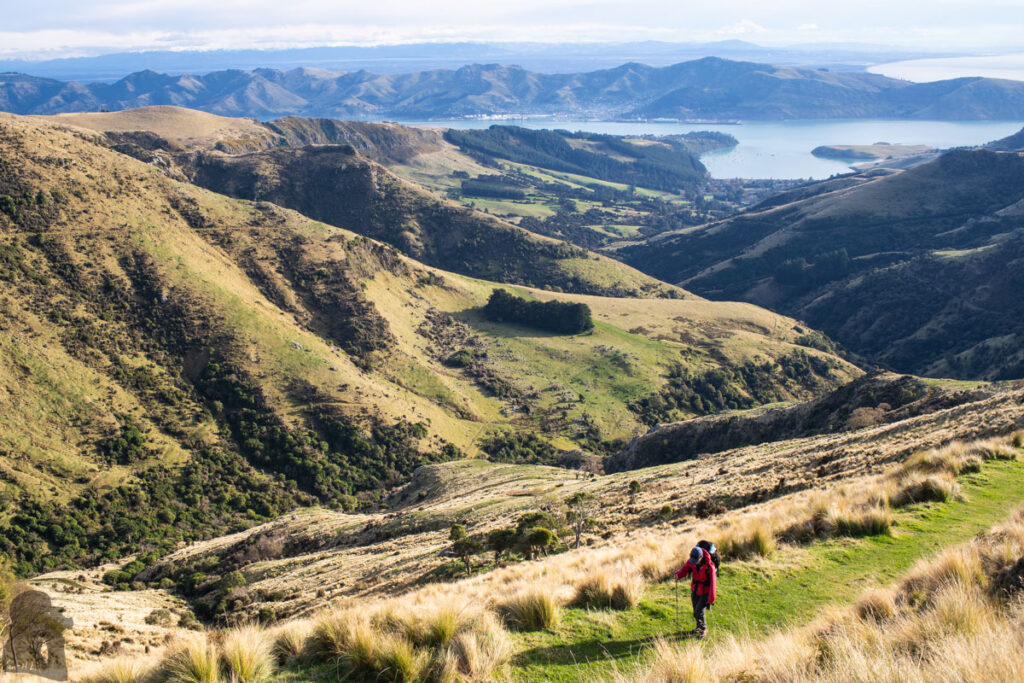Mount Herbert / Te Ahu Pātiki, Overlooking the Canterbury and Beyond on the Tallest Mountain of Banks Peninsula Monument Track North