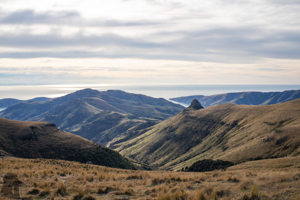 Mount Herbert / Te Ahu Pātiki, Overlooking the Canterbury and Beyond on the Tallest Mountain of Banks Peninsula Monument Track North