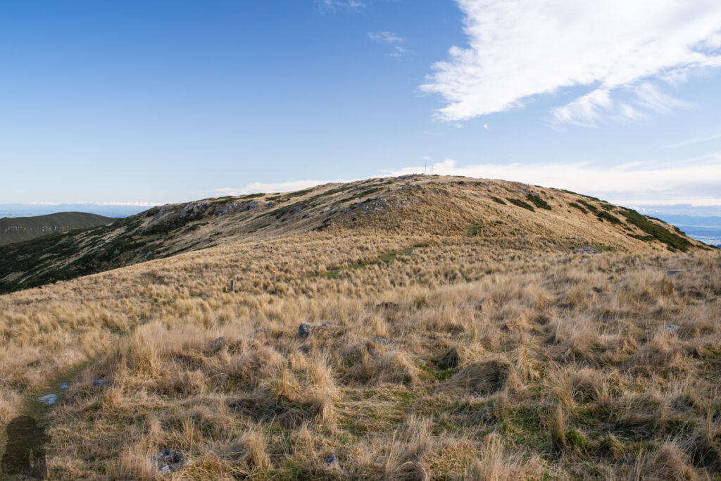 Mount Herbert / Te Ahu Pātiki, Overlooking the Canterbury and Beyond on the Tallest Mountain of Banks Peninsula The summit of Mt. Herbert in sight