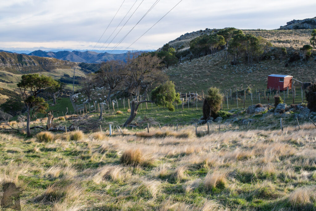 Mount Herbert / Te Ahu Pātiki, Overlooking the Canterbury and Beyond on the Tallest Mountain of Banks Peninsula Monument Track North