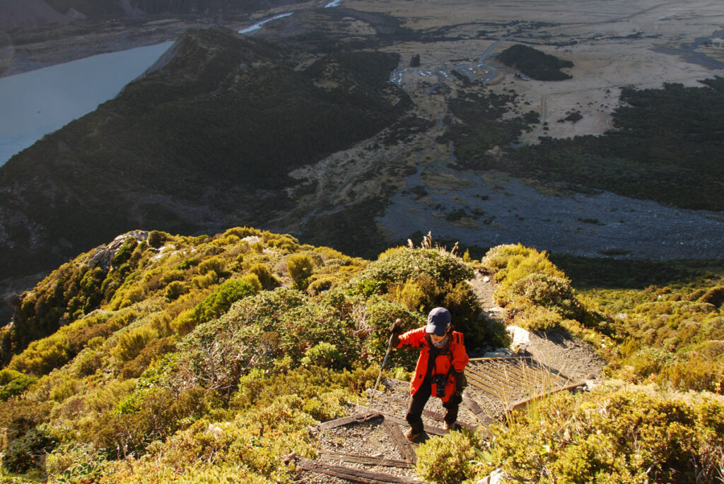 Mueller Hut Route & Mount Ollivier, Climbing High for the Panorama of Hooker Valley and Mount Cook The steep ascent on Sealy Tarns Track from White Horse Hill Campsite underneath