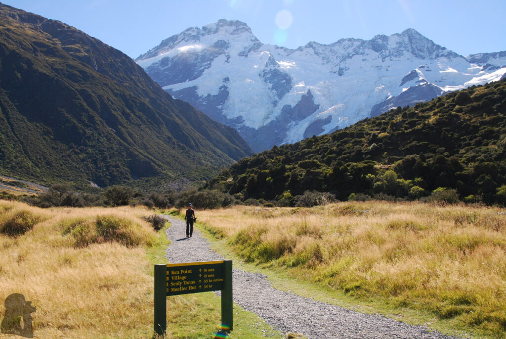 Mueller Hut Route & Mount Ollivier, Climbing High for the Panorama of Hooker Valley and Mount Cook A beautiful and fulfilling day under the Mt. Cook