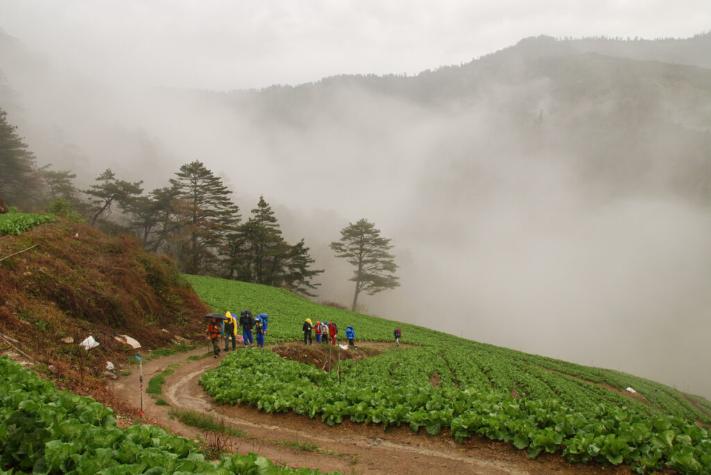 The first section of the hike after the trail head at Shengguang