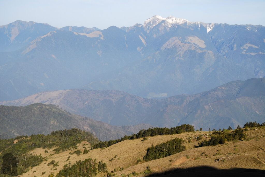 Once climbing above the treeline, the view from Xue Mountain Range (雪山山脈) is unfolded for you at Shenmazhen Grassland (審馬陣草原).