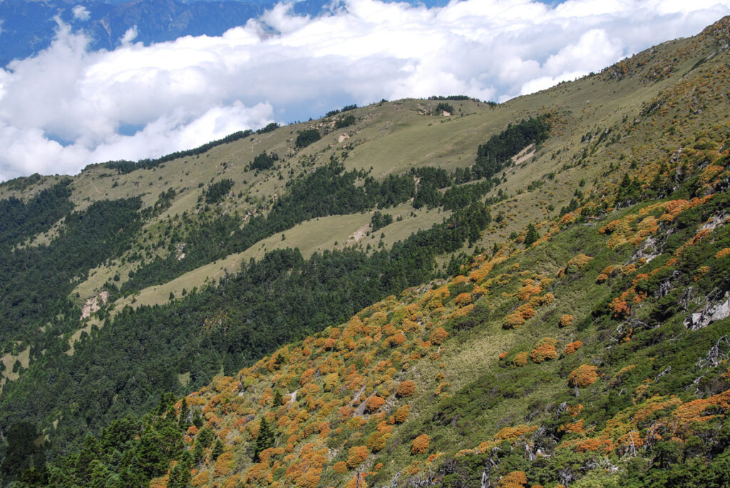 North Section 1 (北一段), Climb the Glacier-Visited Nanhudashan (南湖大山) and the Formidable Zhongyangjianshan (中央尖山) Shenmazhen Grassland