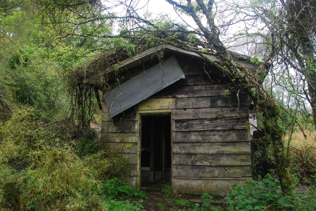 North Section 2 (北二段), the Trail on the Formidable Ridge with Ominous Names The abandon hut at 25K of 730 Forest Road