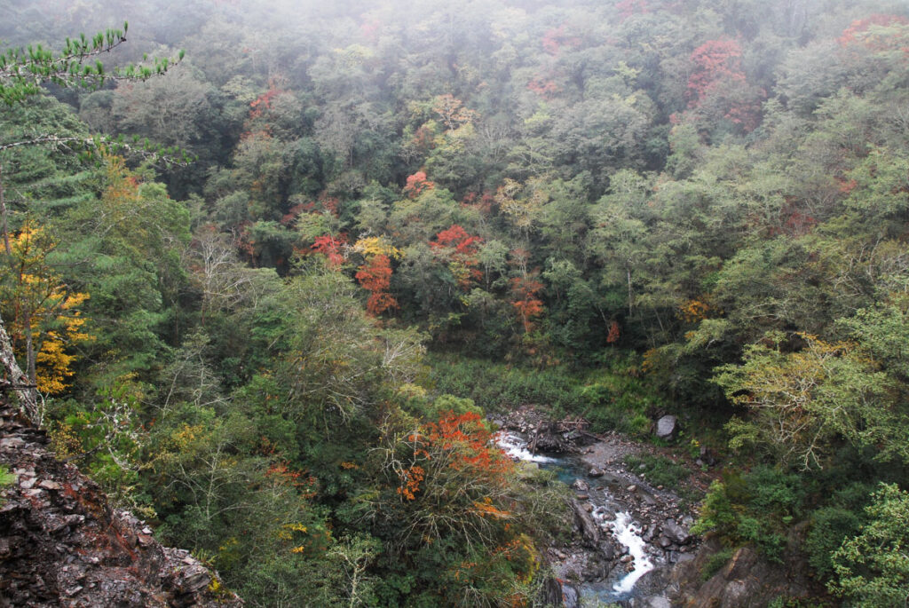 North Section 2 (北二段), the Trail on the Formidable Ridge with Ominous Names Descending to Erwu River (耳無溪)