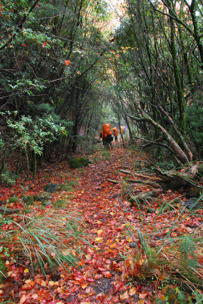 North Section 2 (北二段), the Trail on the Formidable Ridge with Ominous Names North Section 2