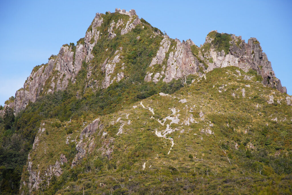 The Pinnacles, the Magnificent Summit on Coromandel Peninsula, via Kauaeranga Kauri Trail Pinnacles Walk (Kauaeranga Kauri Trail)