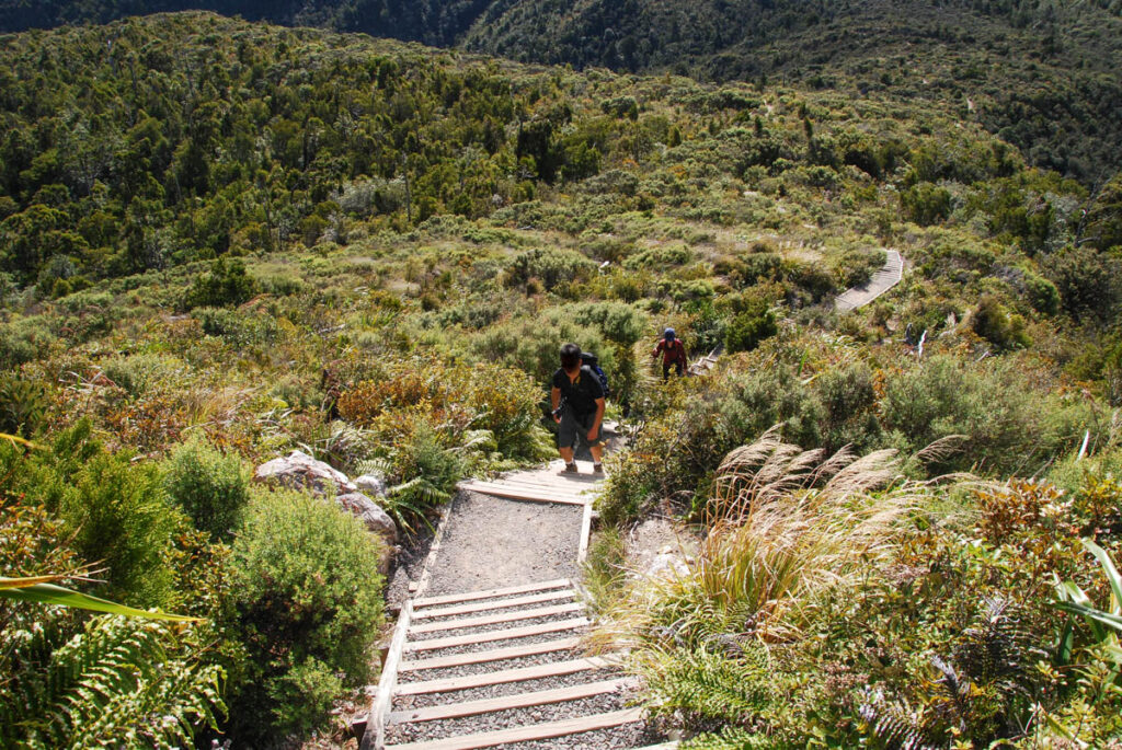 The Pinnacles, the Magnificent Summit on Coromandel Peninsula, via Kauaeranga Kauri Trail Pinnacles Walk (Kauaeranga Kauri Trail)