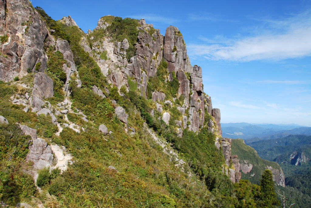 The Pinnacles, the Magnificent Summit on Coromandel Peninsula, via Kauaeranga Kauri Trail Pinnacles Walk (Kauaeranga Kauri Trail)
