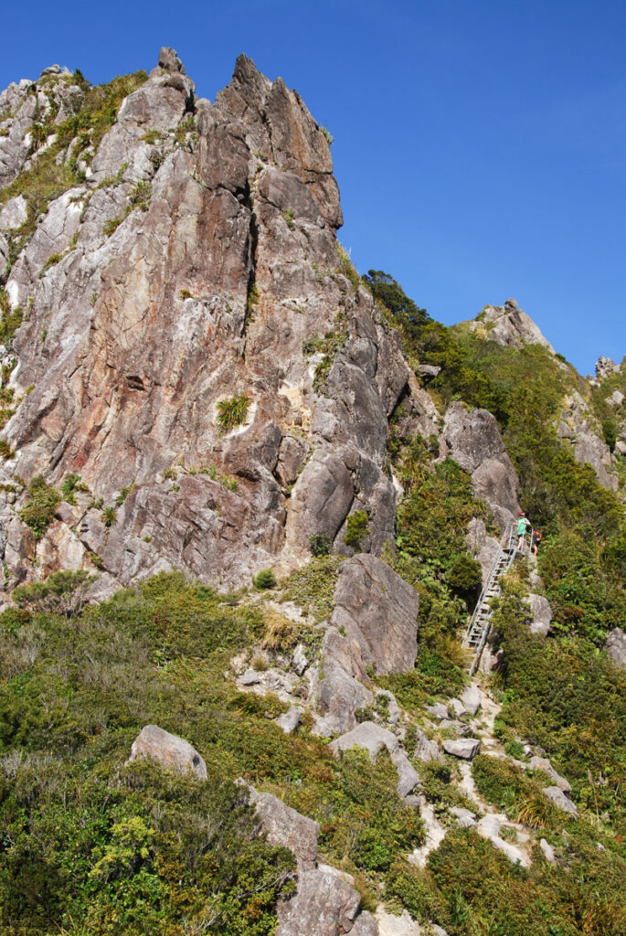 The Pinnacles, the Magnificent Summit on Coromandel Peninsula, via Kauaeranga Kauri Trail Pinnacles Walk (Kauaeranga Kauri Trail)