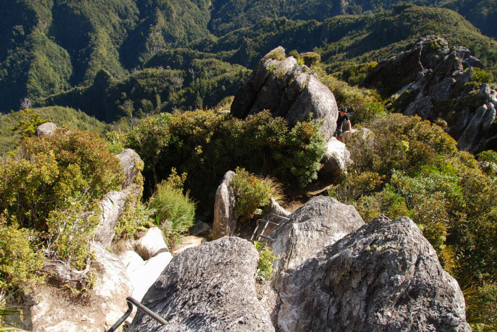 The Pinnacles, the Magnificent Summit on Coromandel Peninsula, via Kauaeranga Kauri Trail Pinnacles Walk (Kauaeranga Kauri Trail)
