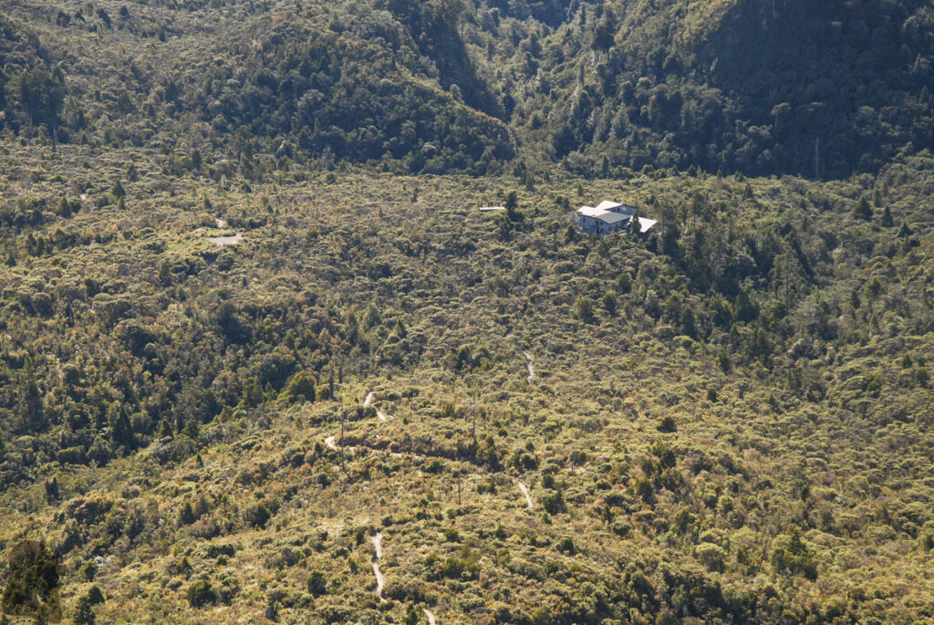 The Pinnacles, the Magnificent Summit on Coromandel Peninsula, via Kauaeranga Kauri Trail Pinnacles Walk (Kauaeranga Kauri Trail)