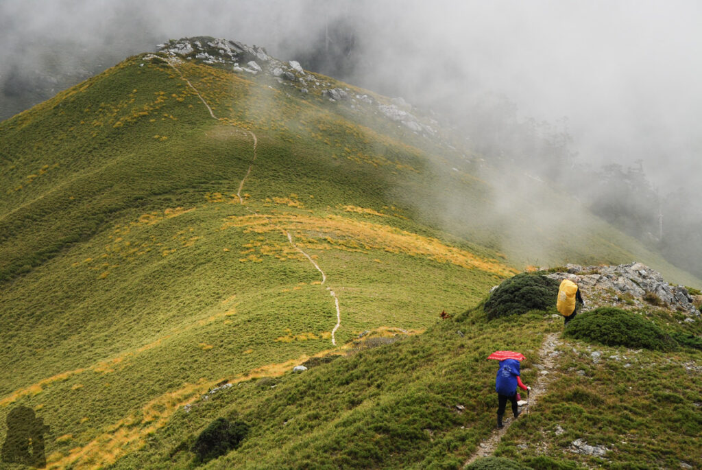 Qilai East Ridge (奇萊東稜), the Challenging Trail in the Dense Arrow Bamboos The grassy field near Panshishan West Peak (磐石山西峰)