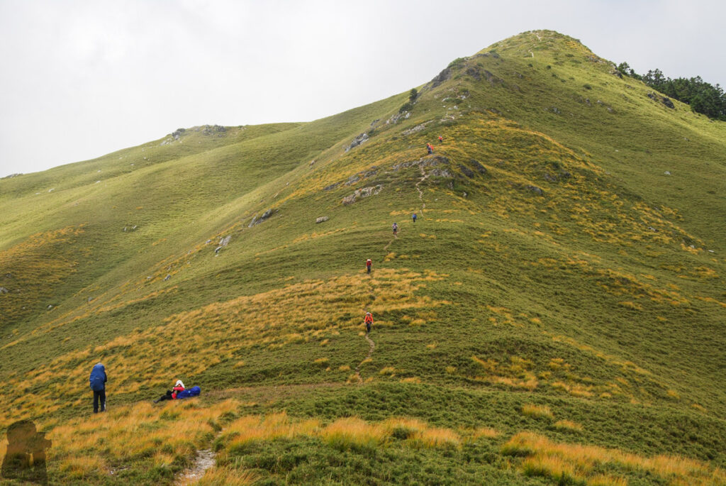 Qilai East Ridge (奇萊東稜), the Challenging Trail in the Dense Arrow Bamboos The grassy field near Panshishan West Peak (磐石山西峰)