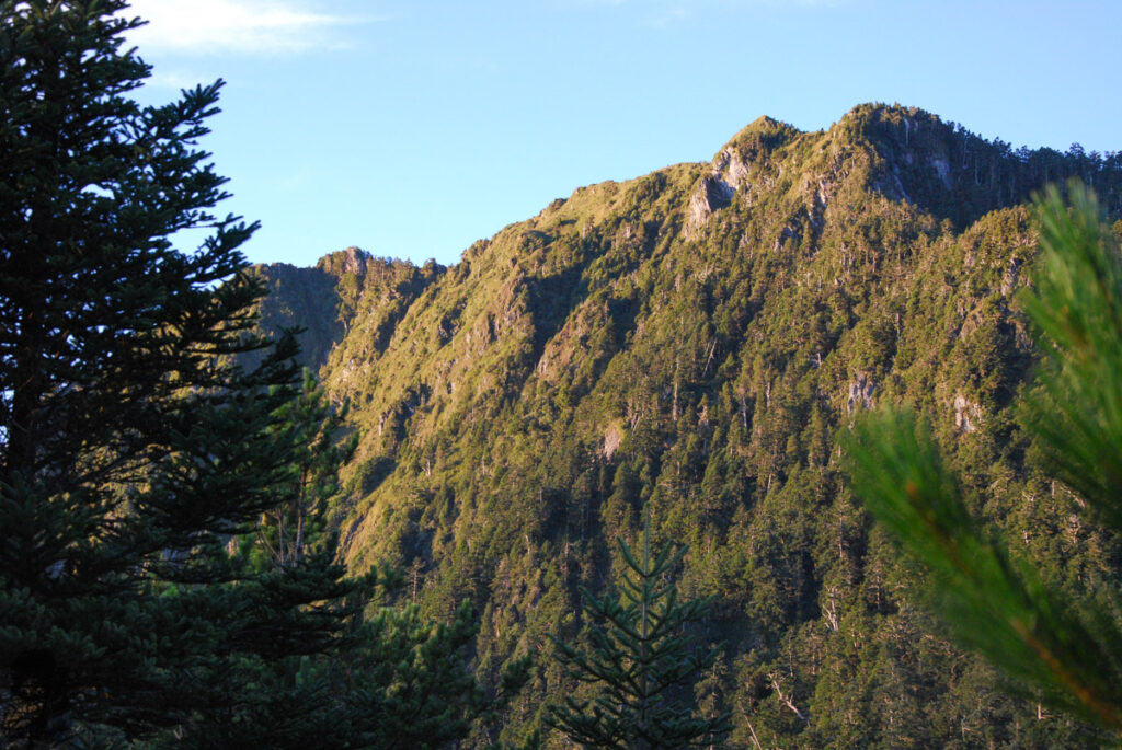 Qilai East Ridge (奇萊東稜), the Challenging Trail in the Dense Arrow Bamboos Tarokodashan (太魯閣大山)