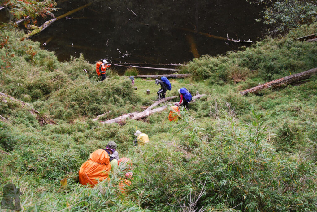 Qilai East Ridge (奇萊東稜), the Challenging Trail in the Dense Arrow Bamboos Ping-An Pond (平安池)
