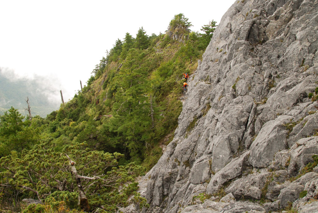 Qilai East Ridge (奇萊東稜), the Challenging Trail in the Dense Arrow Bamboos They were just underneath the Dalishi Campground (大理石營地).