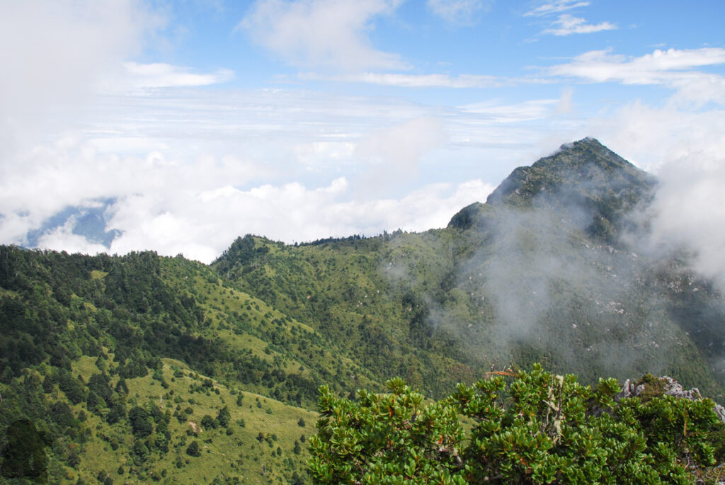 Qilai East Ridge (奇萊東稜), the Challenging Trail in the Dense Arrow Bamboos Patuolushan (帕托魯山)