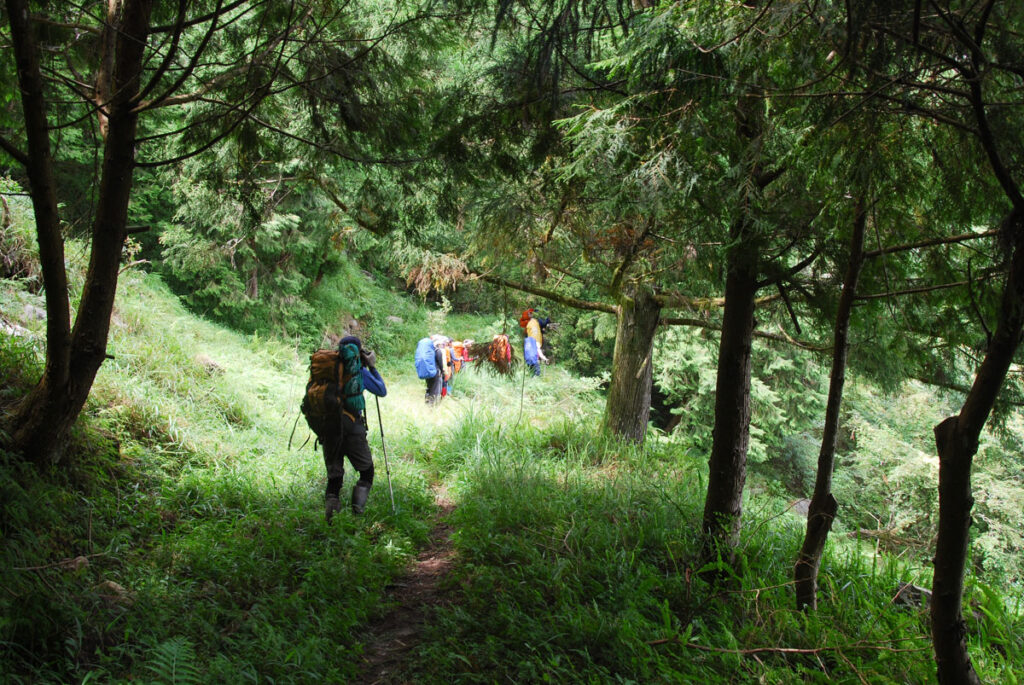 Qilai East Ridge (奇萊東稜), the Challenging Trail in the Dense Arrow Bamboos Yanhai Forest Road