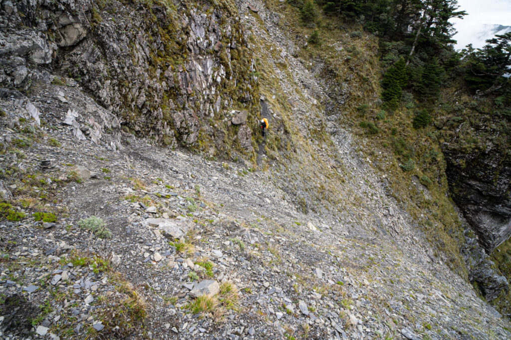 Qilai North Face to Pingfengshan (奇萊北壁下屏風), the Spectacular Trail that I Waited for 12 Years A narrow and loose path