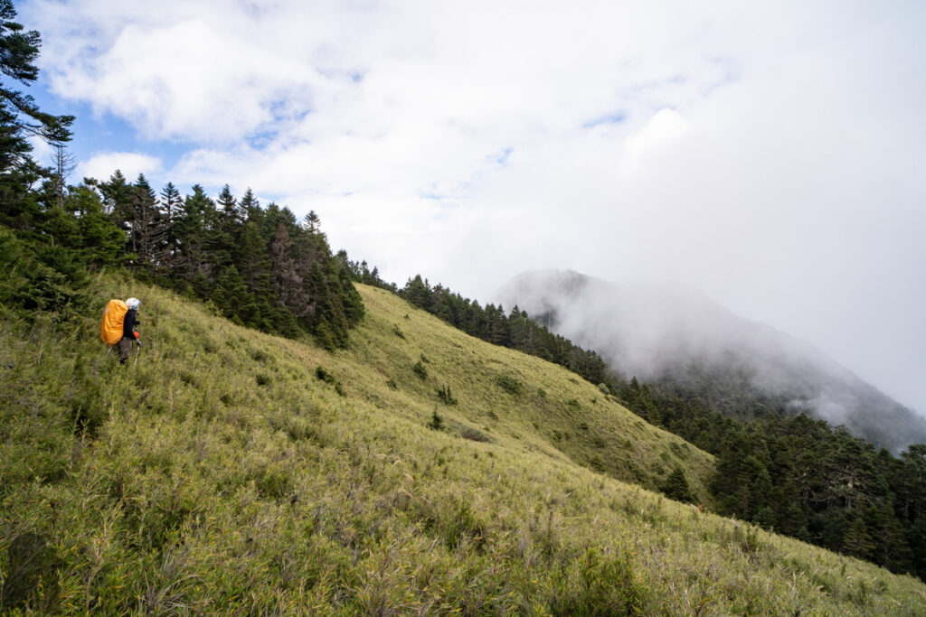Qilai North Face to Pingfengshan (奇萊北壁下屏風), the Spectacular Trail that I Waited for 12 Years Not far away from Pingfengshan; the walk on the arrow bamboo field was not too exciting.