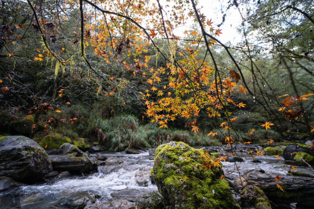 Qilai North Face to Pingfengshan (奇萊北壁下屏風), the Spectacular Trail that I Waited for 12 Years Tacijili River (塔次基里溪) or Liwu River (立霧溪)