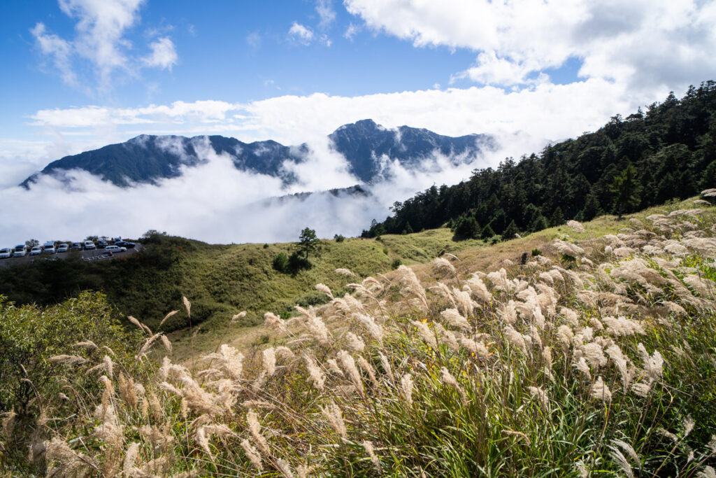 Qilai North Face to Pingfengshan (奇萊北壁下屏風), the Spectacular Trail that I Waited for 12 Years Looking to the north ridge of Qilai North Peak, where we passed yesterday, from the highway