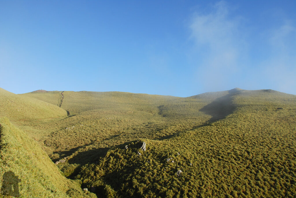 Qilai Range (奇萊連峰), the Trail Traverses the Imposing and Soothing Peaks of Qilaishan Qilai South Peak